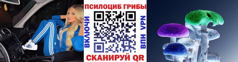 Галлюциногенные грибы Psilocybe Отрадный